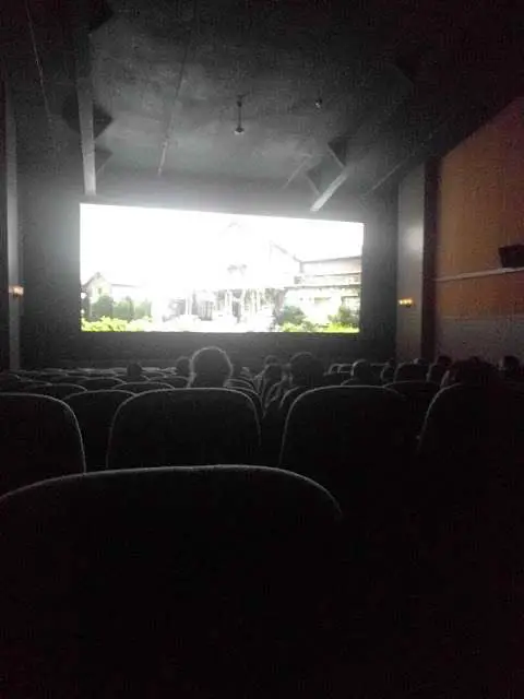 Cinéma V